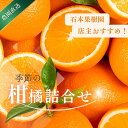 【ふるさと納税】 先行予約 旬の柑橘 詰め合わせ セット 石本果樹園 店主おすすめの柑橘セットをお届け 【2026年1月~5月中に順次発送予定】 / フルーツ 果物 くだもの 柑橘 みかん ミカン不知火 せとか セミノール ポンカン 甘夏 清見 オレンジ 産地直送 旬 人気 詰め合わせ