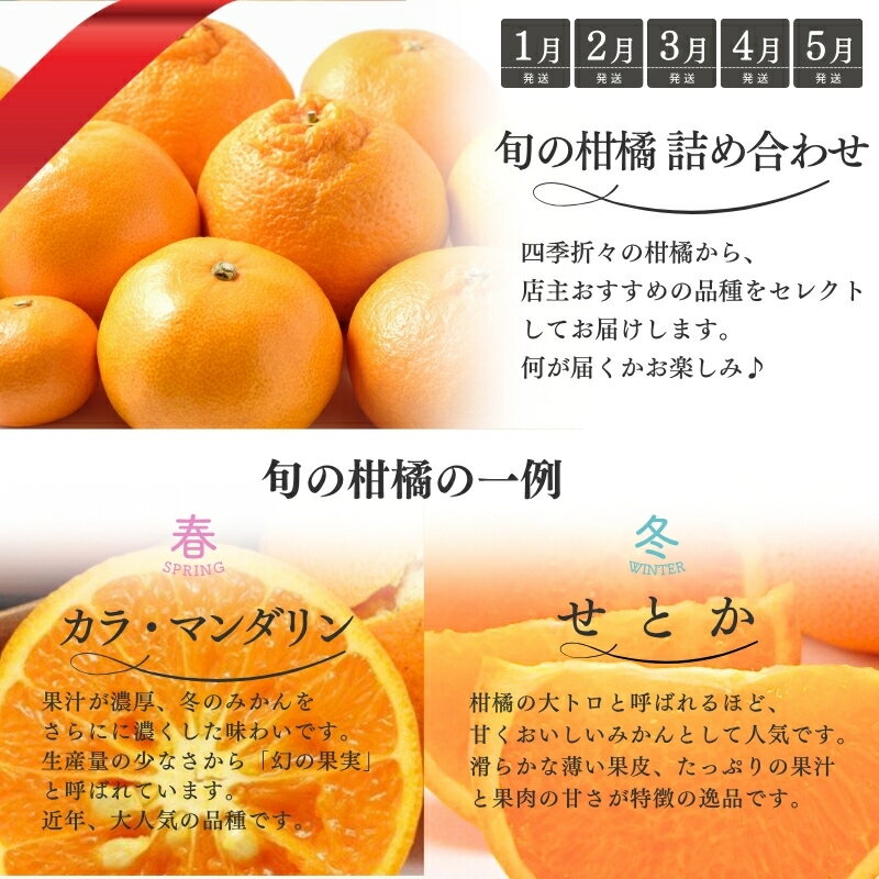 三重県紀宝町の画像3