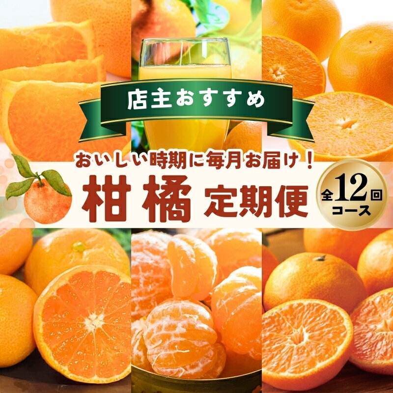 【ふるさと納税】 柑橘 定期便 石本果樹園 店主おすすめの柑橘セットを毎月お届け!【全12回】 / フルーツ 果物 くだもの 柑橘 フルーツ定期便 くだもの定期便 定期便 みかん ミカン 温州みかん せとか カラマンダリン ハウスみかん 産地直送 旬 人気 おすすめ 三重県 紀宝町