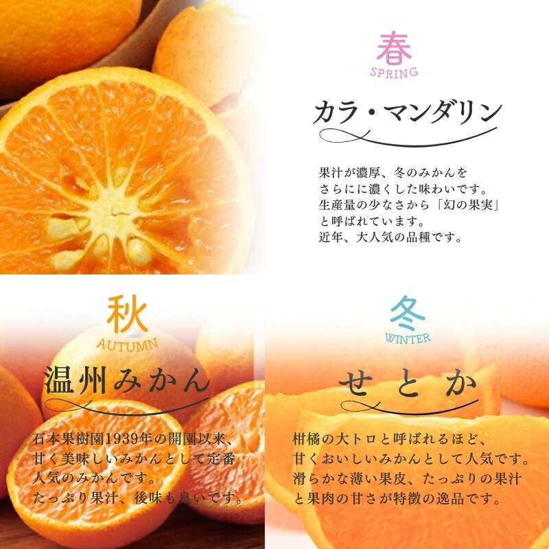 三重県紀宝町の画像3