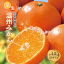【ふるさと納税】 2Sサイズ 石本農園の早生温州みかん約4.5kg【11月下旬から12月末頃までに順次発送】/ みかん ミカン 蜜柑 早生 温州