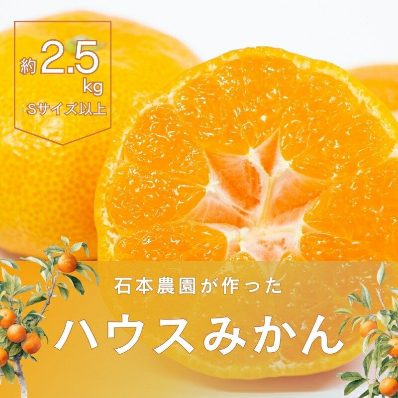 [予約受付]Sサイズ以上 サイズいずれか 石本農園のハウスみかん 2.5kg[2025年7月上旬から下旬に順次発送] / みかん ミカン 蜜柑 ハウスみかん