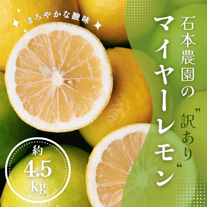 【ふるさと納税】訳あり 石本農園のマイヤー レモン サイズ混合 約4.5kg 【2025年12月中旬から12月末頃までに順次発送】 / 檸檬 れもん 柑橘