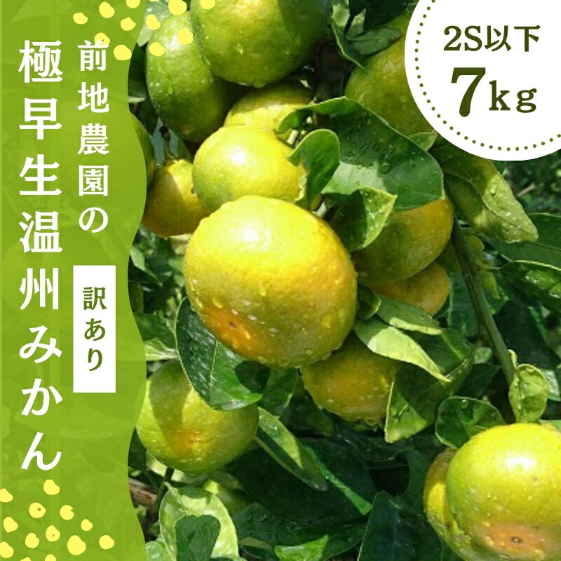 2S以下 前地農園の極早生温州みかん マルチ栽培 ご家庭用 訳あり 7kg[9月中旬から10月中旬までに順次発送] / わけあり ワケアリ みかん 蜜柑 極早生 数量限定 温州 ミカン ご家庭用 家庭用 マルチ栽培