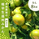【ふるさと納税】 ご家庭用 訳あり 前地農園の 極早生温州みかん 8kg S-Lサイズおまかせ マルチ栽培 【2025年9月中旬から10月中旬までに順次発送】 ...