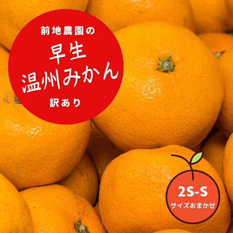 2S-S サイズおまかせ ご家庭用 訳あり 前地農園の早生温州みかん 7kg[12月初旬から12月中旬までに順次発送] / わけあり ワケアリ みかん 蜜柑 早生 数量限定 温州 ミカン ご家庭用 家庭用