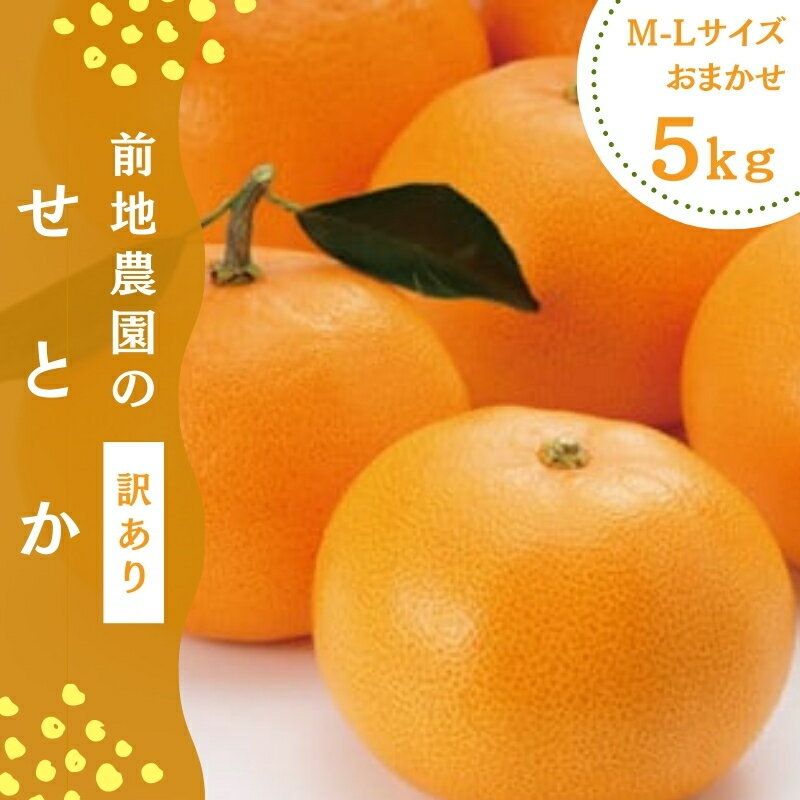 【ふるさと納税】 せとか 前地農園の せとか M-2L サイズおまかせ ご家庭用 5kg【2025年3月初旬から2025年3月中旬までに順次発送】 みかん ミカン 蜜柑 柑橘 果物 くだもの フルーツ サイズ 不…