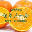 【ふるさと納税】 先行予約 2級果 サイズ不揃い 訳あり ご家庭用 西地農園のセミノール 4.5kg【2026年3月中旬から順次発送】 / セミノール わけあり...