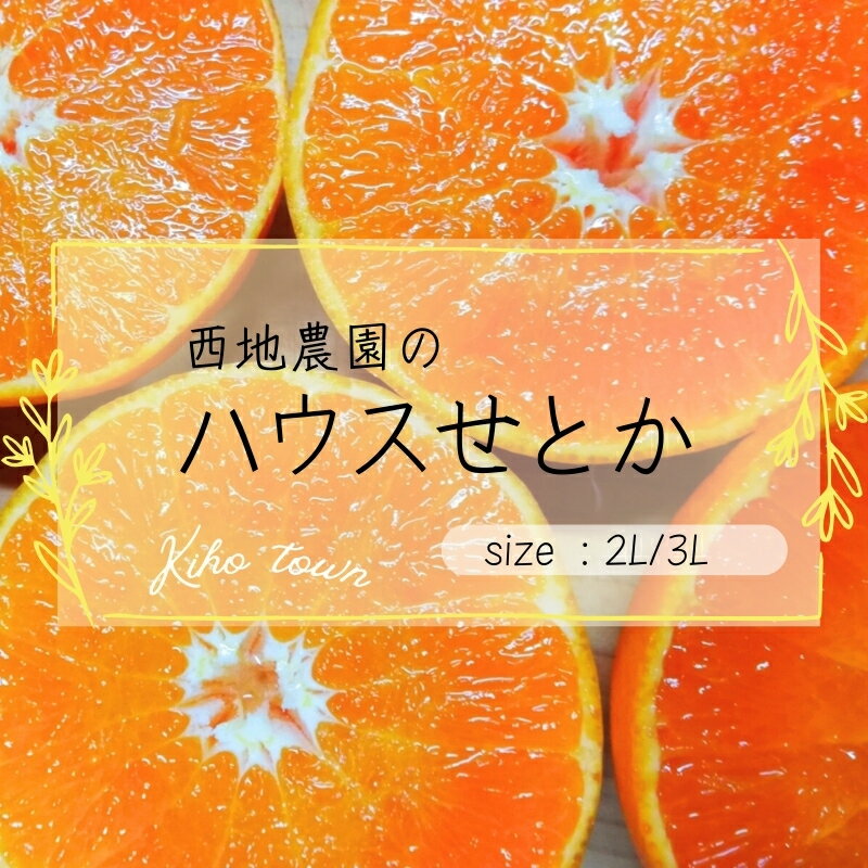 2L 12個 / 3L 10個 西地農園のハウスせとか[2025年2月中旬より順次発送] / 手選別 せとか ハウスせとか 2L 3L みかん ミカン 蜜柑 柑橘 果物 くだもの フルーツ 産地直送