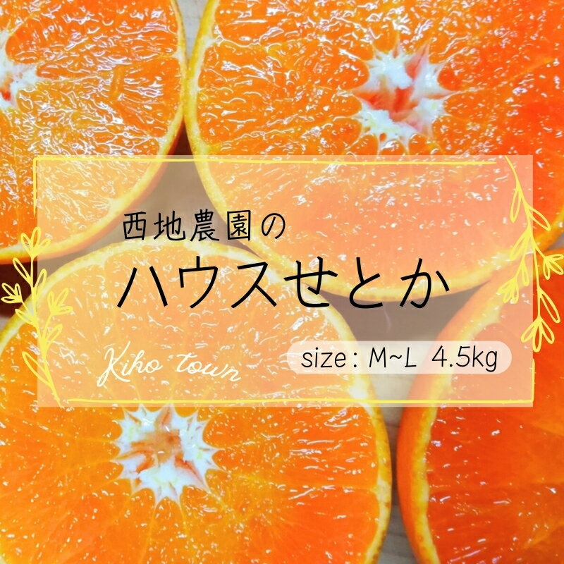 【ふるさと納税】【先行予約】L〜Mサイズ 西地農園のハウスせとか 4.5kg【2025年2月中旬から3月中旬頃順次発送】 / 手選別 せとか ハウスせとか L M みかん ミカン 蜜柑 柑橘 果物 くだもの フ…