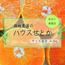 【ふるさと納税】 ご家庭用 訳あり せとか 西地農園の ハウスせとか 4.5kg M〜4L サイズ混合 無選別【2026年2月中旬から順次発送】 手選別 ハウス...