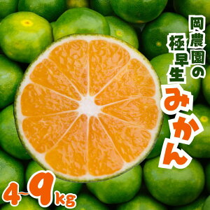 【ふるさと納税】 【容量が選べる】サイズ2S~M 岡農園の極早生温州みかん 【2025年9月中旬から10月下旬までに順次発送】/ みかん 蜜柑 温州みかん 極早生みかん 柑橘
