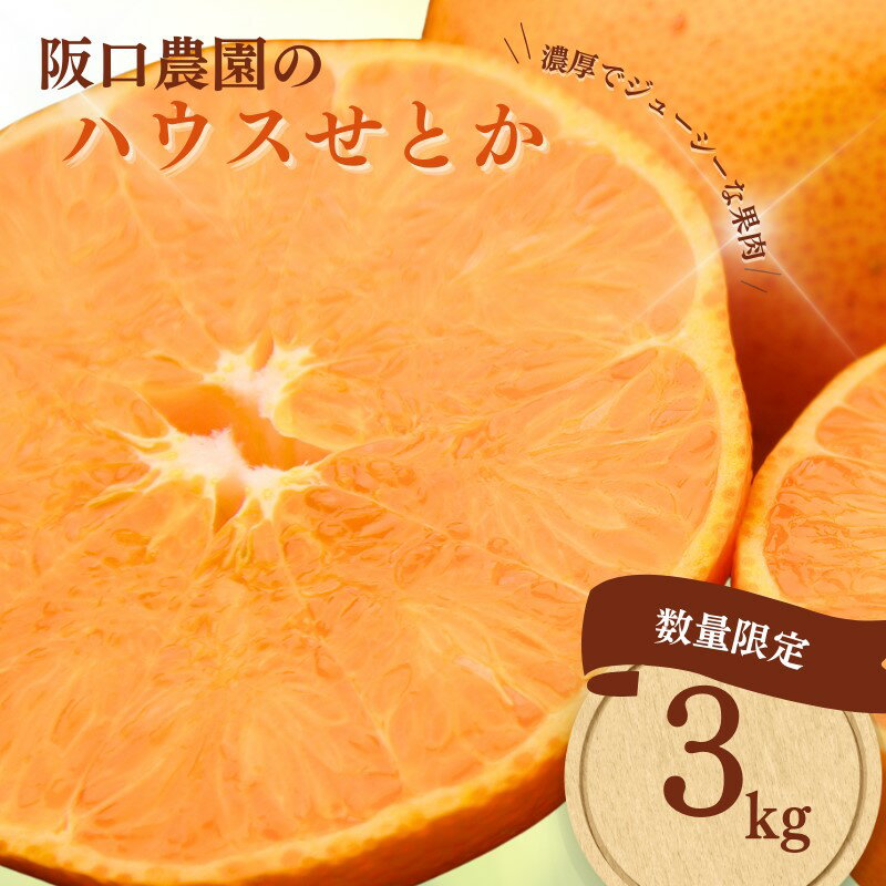 阪口農園のハウスせとか 3kg (2L〜3L 9玉〜12玉)[2025年2月中旬から3月中旬までに順次発送] / せとか みかん ミカン 蜜柑 柑橘 果物 くだもの フルーツ 予約 人気 ジューシー 甘い