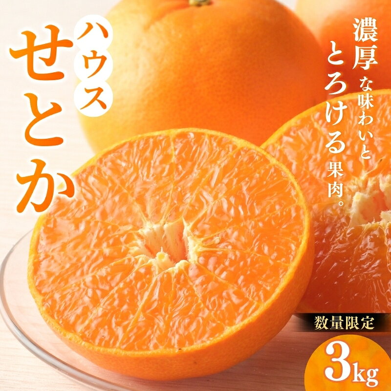 ڤդ뤵ǼǡۺΥϥȤ
