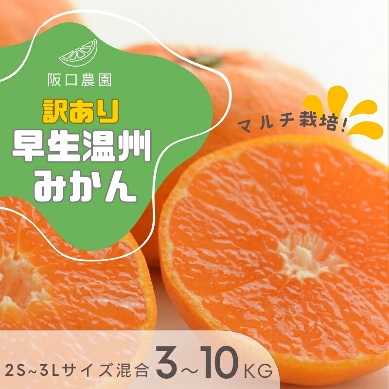 21位! 口コミ数「0件」評価「0」(先行予約) 2S~3L サイズ混合 阪口農園の 訳あり 早生温州みかん (マルチ栽培) 【3kg・5kg・10kgから選べます】【2024･･･ 