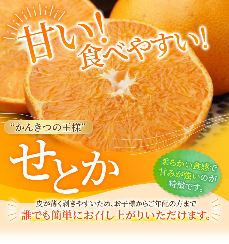 【ふるさと納税】ご家庭用 たにぐち農園のせとか 4.5kg 大小混合【2025年3月中旬から4月上旬までに順次発送】 / 家庭用 ご家庭用 せとか みかん 蜜柑 サイズ 不揃い