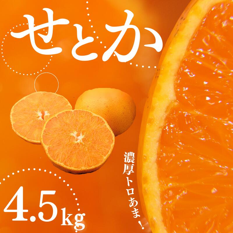 ご家庭用 たにぐち農園のせとか 4.5kg 大小混合[2025年3月中旬から4月上旬までに順次発送] / 家庭用 ご家庭用 せとか みかん 蜜柑 サイズ 不揃い