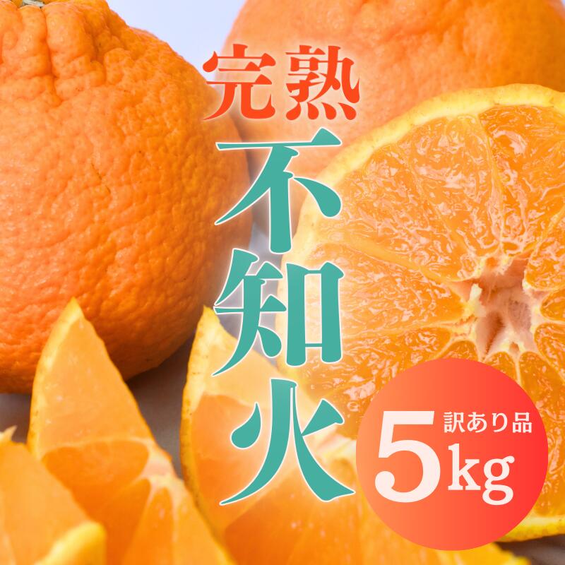 たにぐち農園の完熟不知火 ご家庭用 ちょこっと訳あり 5kg[2025年2月中旬から3月下旬までに順次発送] / くだもの フルーツ 果物 わけあり 訳あり 家庭用 ご家庭用 不知火 みかん 蜜柑 デコポン