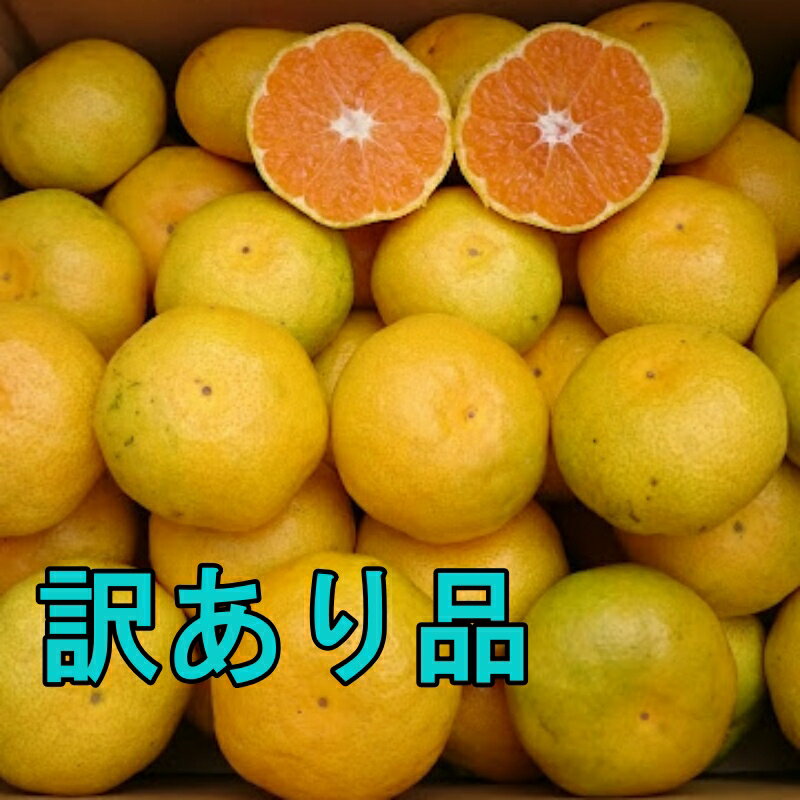 【ふるさと納税】 【先行予約】 訳あり品 ご家庭用 S-Lサイズ 混合 たにぐち農園の極早生温州みかん(マルチ栽培)4.5kg【2023年9月下旬〜10月下旬に順次発送】 / わけあり 訳あり ご家庭用 家庭用 不揃い 極早生 早生 温州 みかん 蜜柑 不揃いのサムネイル