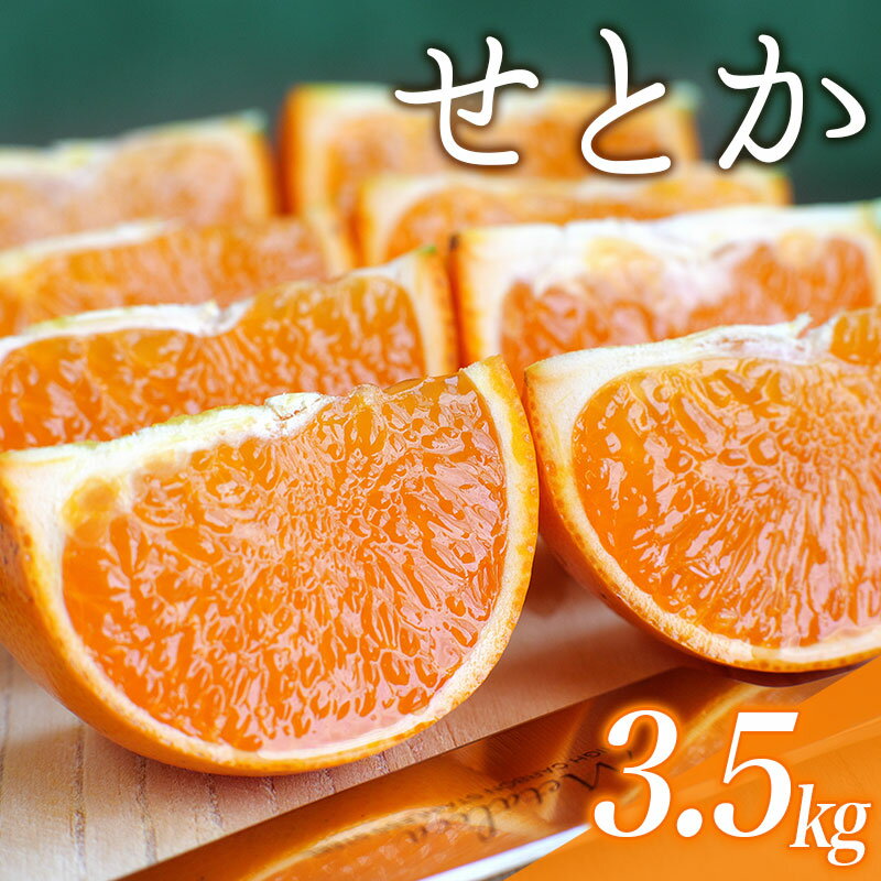 【ふるさと納税】＼ たっぷり大容量 ／ご家庭用 ちょこっと 訳あり せとか 3.5kg 大小混合【2023年3月中旬から順次発送致します。】 / くだもの フルーツ 果物 大容量 せとか 家庭用 人気 みかん 蜜柑 わけあり 数量限定 先行予約