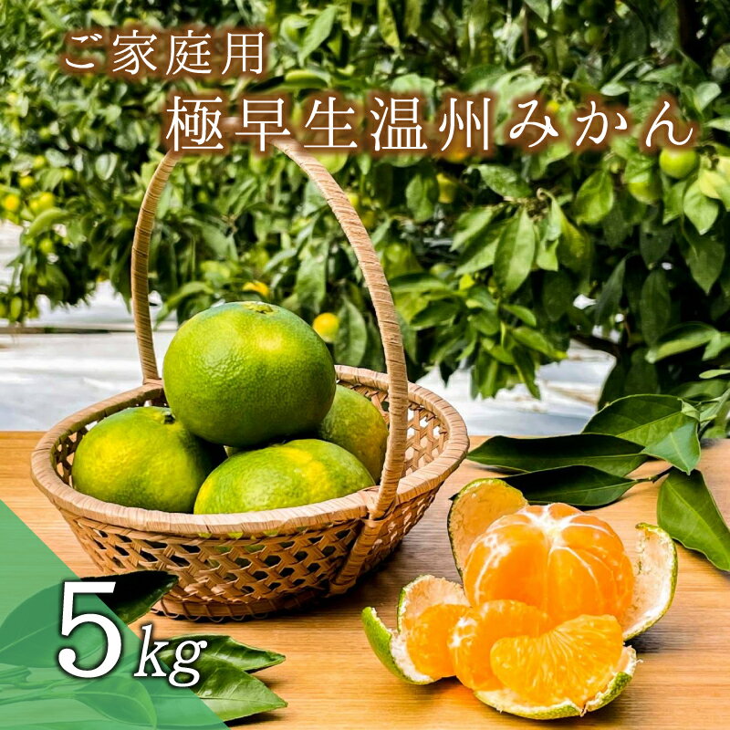 28位! 口コミ数「0件」評価「0」【先行予約】 ご家庭用 極早生温州みかん 5kg (マルチ栽培・露地混合) 2S~L サイズおまかせ【2024年9月下旬から10月下旬までに･･･ 