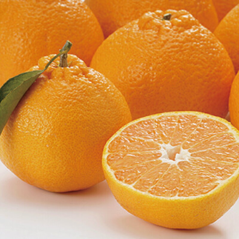 【ふるさと納税】15玉前後 不知火 約4kg 【2月中旬から順次発送致します。】 / 不知火 みかん 蜜柑 デコポン ハウスのサムネイル