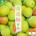 【ふるさと納税】 【5月20日までの受付!】 訳あり ご家庭用 南高梅 青梅 5kg M-3L サイズおまかせ | 梅 梅干 梅干し うめぼし うめ ウメ 青梅...