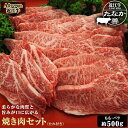 【ふるさと納税】近江牛 たなか善 焼き肉 約500g