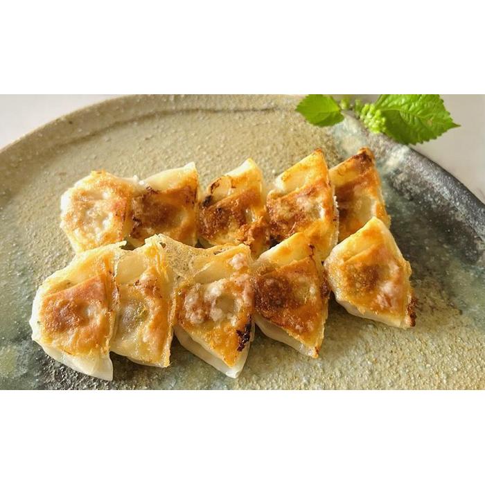 【ふるさと納税】牛肉商「徳志満」 近江牛 ひとくち 餃子 60個(20個×3箱) | ぎょうざ 惣菜 肉 お肉 にく 牛肉 野菜 パーティ 夕食 ご飯 ごはん ...