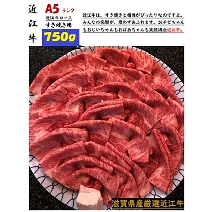 厳選近江牛すき焼き＆しゃぶしゃぶ1,500g