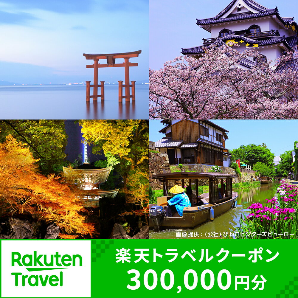 【ふるさと納税】滋賀県の対象施設で使える楽天トラベルクーポン 寄付額1,000,000円