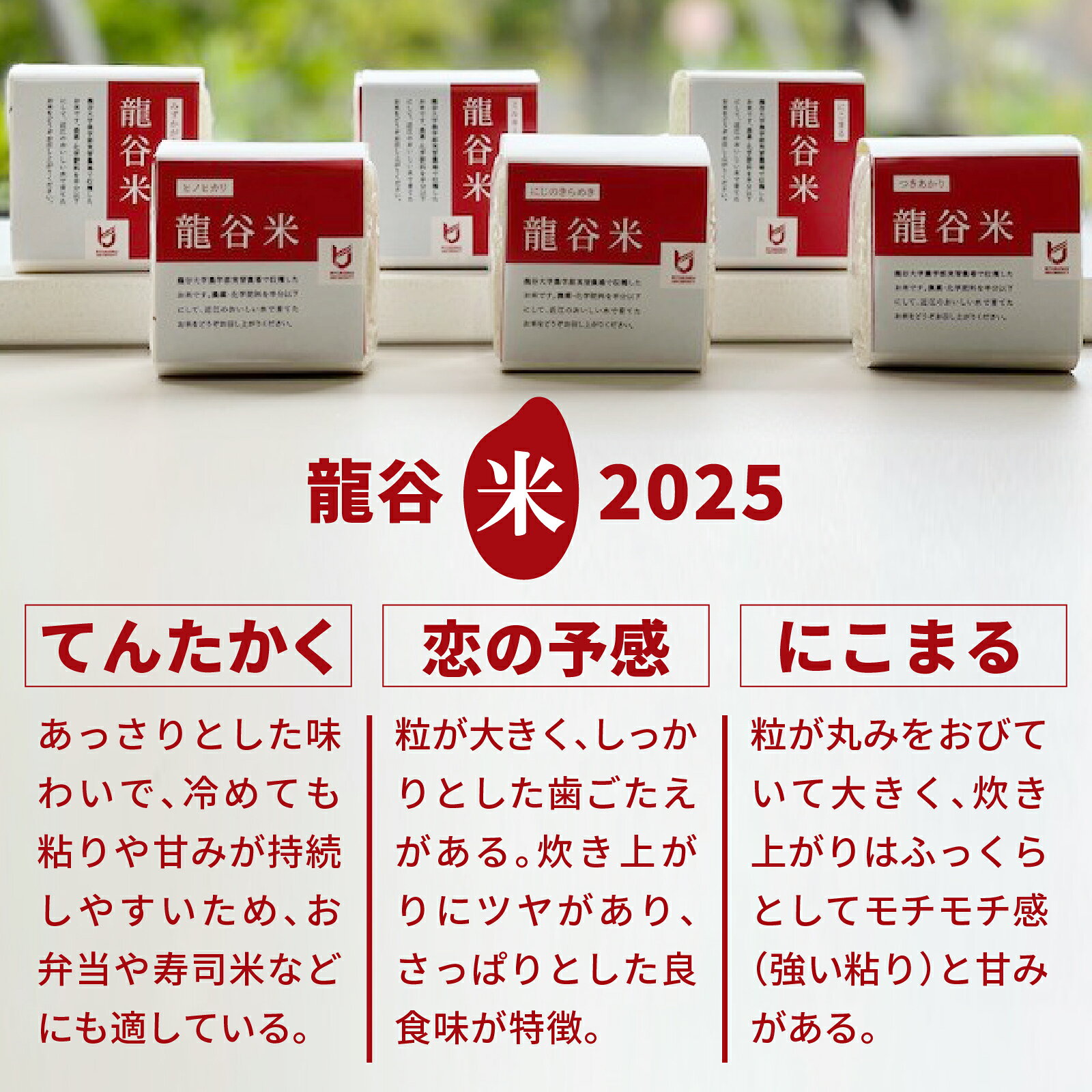 龍谷大学農学部の龍谷米2合（精米 真空パック）6個がギフトボックスに入ったセットです。　【ふるさと納税】龍谷米 味くらべセット [CM006] / お米 精米 食べ比べ てんたかく 恋の予感 にこまる 2合
