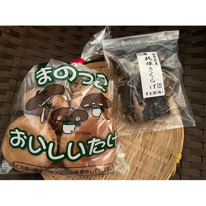 【ふるさと納税】菌床しいたけ・乾燥キクラゲセット