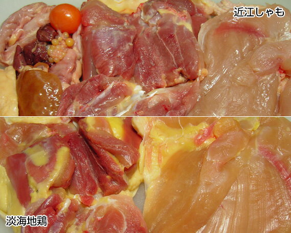 【ふるさと納税】【かしわの川中】超新鮮＆美味！食べ比べ?近江しゃもvs淡海地鶏 ／ 国産（滋賀県） | 滋賀県 滋賀 大津市 楽天ふるさと 納税 支援品 返礼品 お取り寄せグルメ お取り寄せ 取り寄せ グルメ 地鶏 鶏肉 鳥肉 とり肉 しゃも 軍鶏 食べ比べ セット