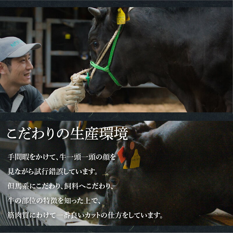 【ふるさと納税】近江牛 赤身 ステーキ 6枚（合計540g）[CS013] / 国産 牛肉 肉 お肉 高級 ブランド 黒毛和牛 ギフト 美味しい 冷凍 人気 おすすめ 三大和牛 国産牛 国産 冷凍 滋賀 滋賀県 大津市 f252018-otsu-10001135 滋賀県大津市 サンプル画像3
