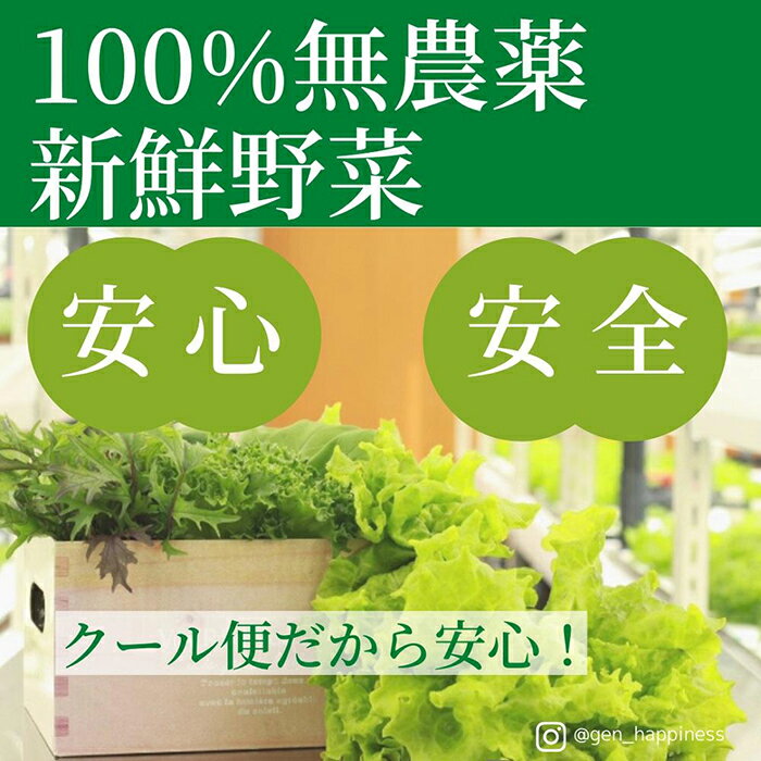 17位! 口コミ数「0件」評価「0」☆滋賀県大津市から直送！☆新鮮無農薬野菜詰め合わせ | お野菜 旬 採れたて 無農薬 減農薬 新鮮 直送 おまかせ 詰め合わせ 美味しい は･･･ 