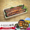 【ふるさと納税】No.041 炭火焼きうなぎ大2尾木箱入り