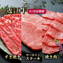 【ふるさと納税】 近江牛 6ヶ月 定期便 すき焼き 650g サーロインステーキ 200g 2枚 焼肉 500g 各種2回 牛 肉 牛肉 A5 ランク 黒毛和牛...