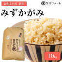 【ふるさと納税】 数量限定 先行予約 令和7年産 みずかがみ 玄米 10kg 滋賀県認証 魚のゆりかご水田米 10 令和7年 7年 滋賀 彦根