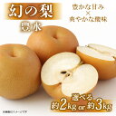 【ふるさと納税】 期間限定 先行受付 数量限定 彦根梨 豊水 約 2kg / 3kg 梨 2025年9月発送予定 フルーツ 果物 和梨 なし ギフト プレゼント...