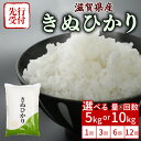 【ふるさと納税】 【令和7年産先行受付】 新米 きぬひかり 5kg 10kg 単品 定期便 令和7年産 米 精米 こめ コメ お米 ご飯 先行受付 5キロ 10キロ 令和7年 3回定期便 6回定期便 12回定期便 3ヶ月定期便 6ヶ月定期便 12ヶ月定期便 ふるさと納税米 ふるさと納税新米 滋賀 彦根