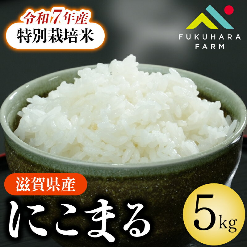 【ふるさと納税】 特別栽培米 にこまる 5kg 令和7年産 先行受付 白米 新米 米 精米 こめ コ ...