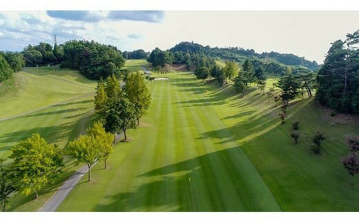 【ふるさと納税】 近江牛 450g付き 平日 2~4名様 ゴルフ セルフプレー券 食事付き ゴルフ場 プレー券 チケット スポーツ 運動 和牛 日本三大和牛 ブランド牛 牛肉 肉 肩ロース すき焼き 450g 450 彦根カントリー倶楽部 滋賀 彦根