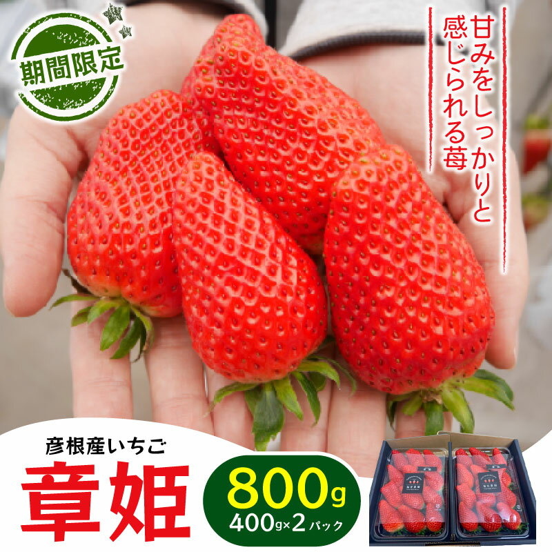【ふるさと納税】 いちご 章姫 800g あきひめ 苺 イチゴ 果物 くだもの フルーツ 食品 ストロベリー ジャム スムージー 期間限定 贈答 ..