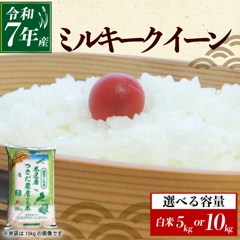 令和7年産 ミルキークイーン 白米 選べる 容量 5kg×1袋 10kg×1袋 米 コメ お米 新米 5キロ 10キロ 米5kg 米10kg ご飯 ごはん みるきーくいーん おにぎり お弁当 5kg 10kg 5 10 滋賀 彦根