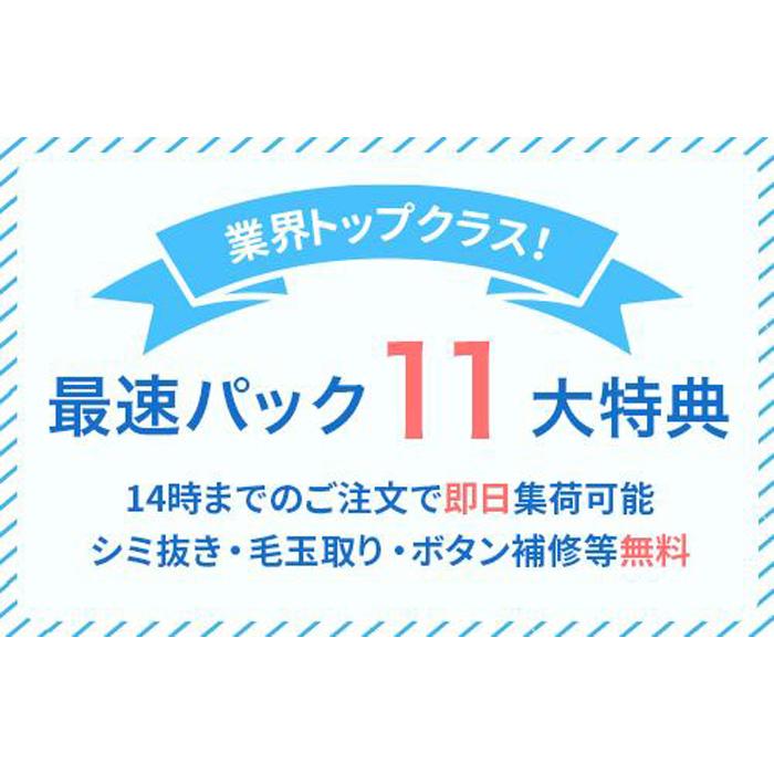 【ふるさと納税】【せんたく便】衣類のクリーニング 最速10点パック