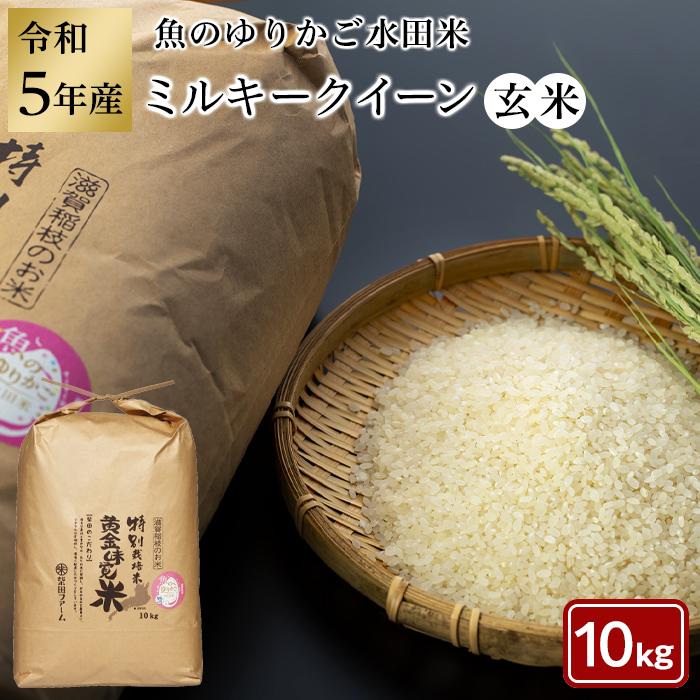 令和5年産(新米)滋賀県認証! 魚のゆりかご水田米 「ミルキークイーン」玄米 10kg