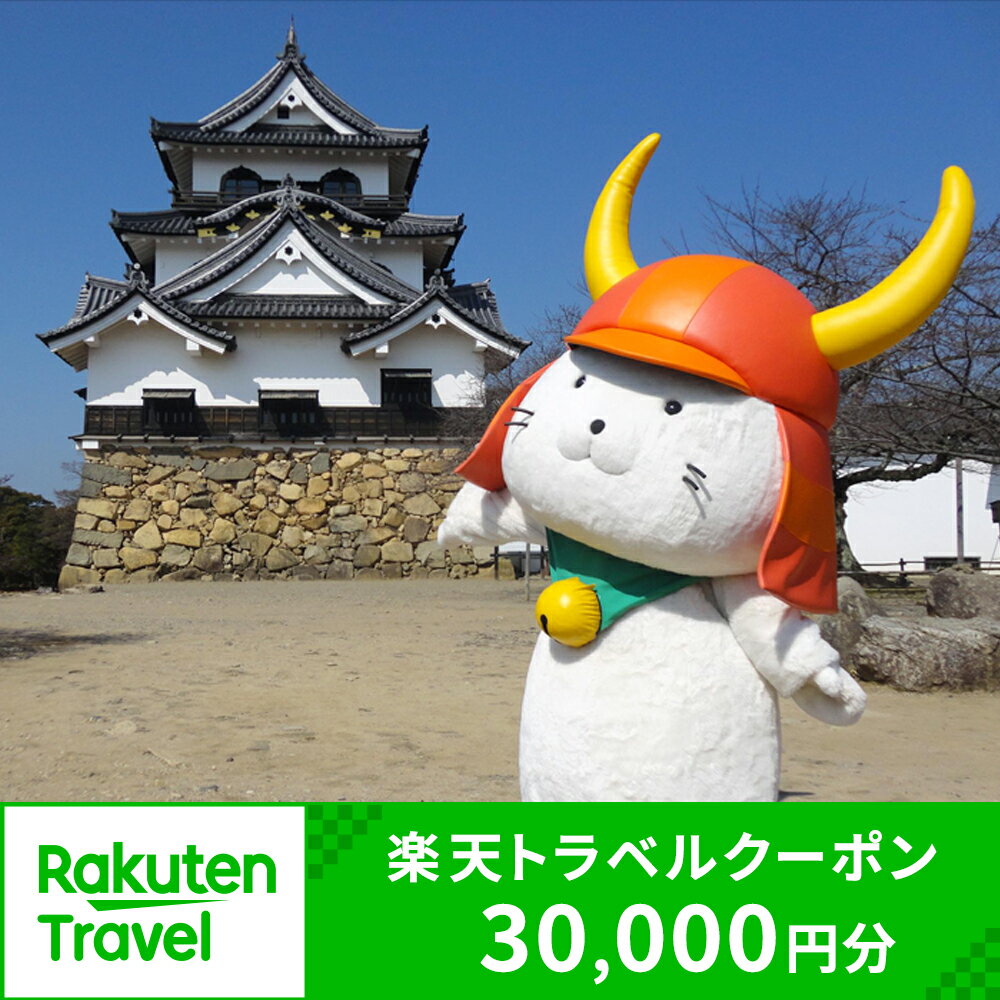 滋賀県彦根市の対象施設で使える楽天トラベルクーポン 寄付額100,000円 ふるさと納税 旅行