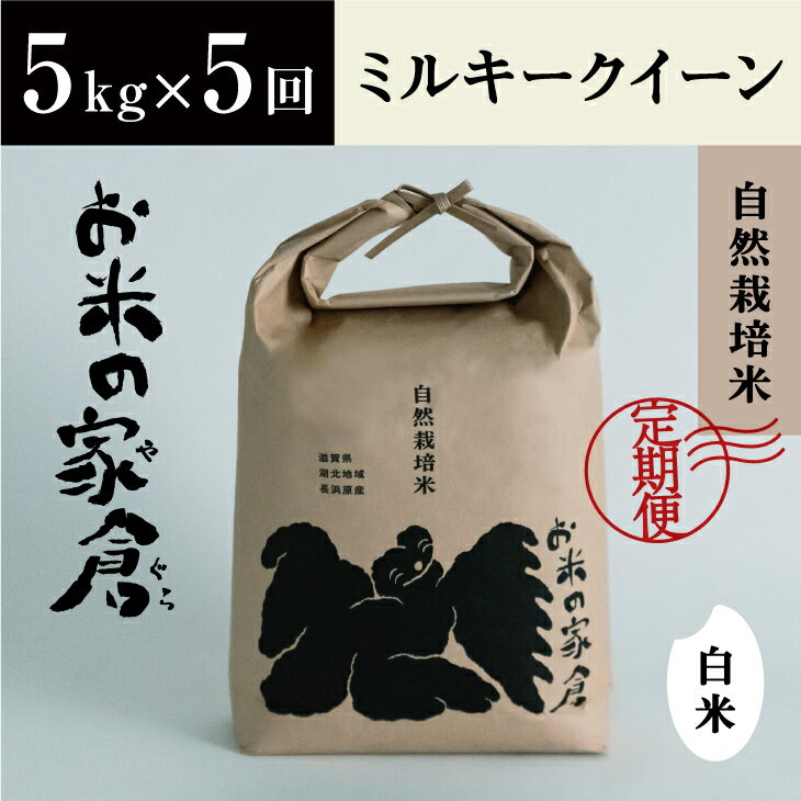 10位! 口コミ数「2件」評価「4」【定期便】【新米：令和5年産】滋賀県　長浜市　お米が甘い！自然栽培”ミルキークイーン”5kg白米×5回※2023年10月上旬より順次発送予定