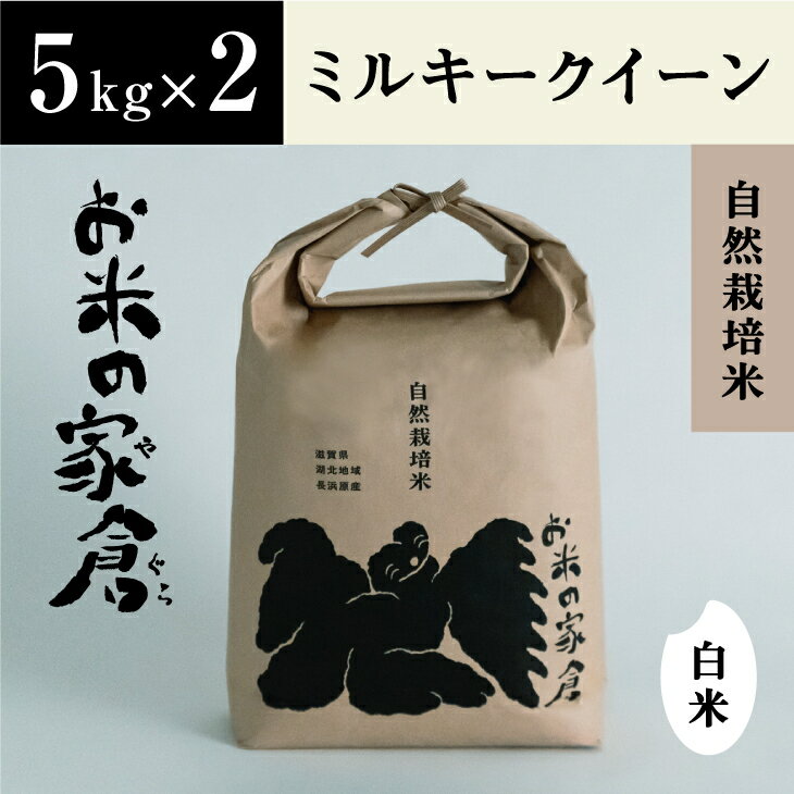 【ふるさと納税】【新米：令和5年産】滋賀県　長浜市　お米が甘い！自然栽培　”ミルキークイーン”　5kg白米×2袋※2023年10月上旬より順次発送予定